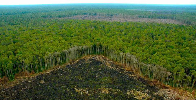 Los ilícitos están «incrustados» en la Amazonía, advierte la secretaria de la OTCA