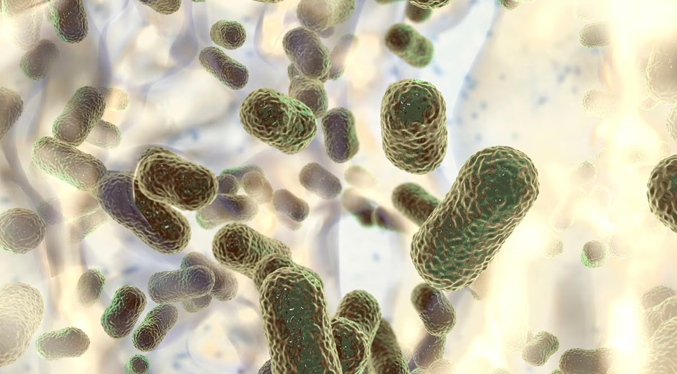 Fallecen tres personas por rara bacteria carnívora en EEUU