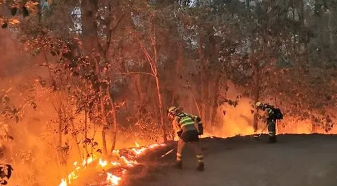Incendio forestal en Tenerife obliga a nuevas evacuaciones