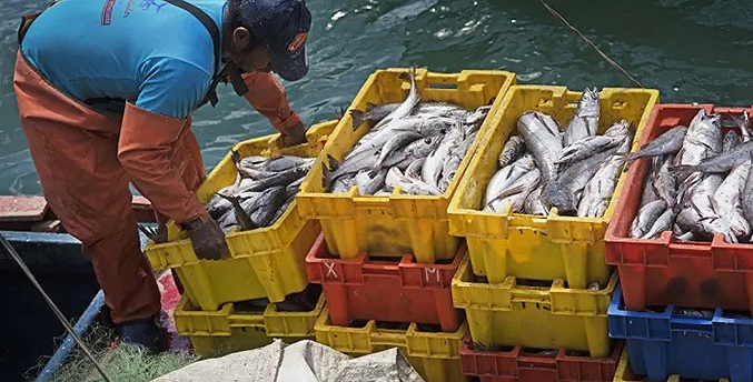 Aseguran que reforma de la Ley de Pesca y Acuicultura favorece a los trabajadores