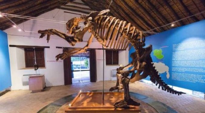 Un museo de Caracas expone dinosaurio venezolano que vivió hace 201 millones de años