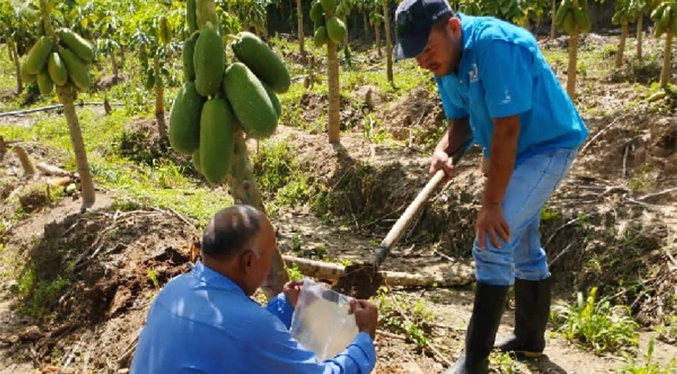 Fedecámaras Zulia denuncia “graves problemas” en la agroindustria por delincuencia