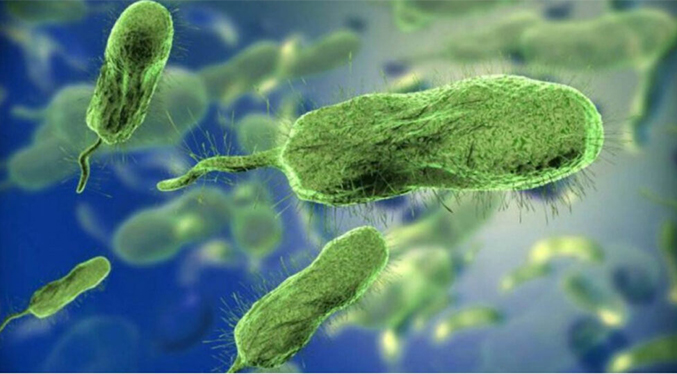 Florida reporta cinco muertes y 26 infectados en lo que va de año por la bacteria «come-carne»