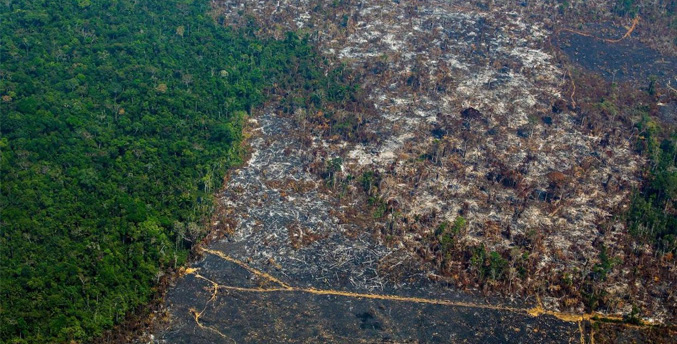Los presidentes de la Amazonía se reúnen en Brasil para intentar detener la devastación de la selva
