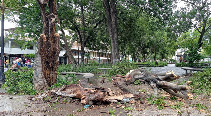 Paso de la onda tropical 30 por Sucre dejó un fallecido