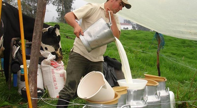 Cavilac reporta que producción de leche nacional está en 12 %