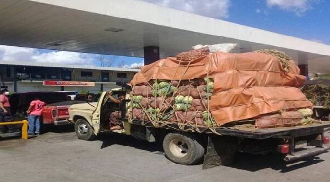 Productores Agropecuarios alertan de la entrada de alimentos sin permisos sanitarios a Venezuela