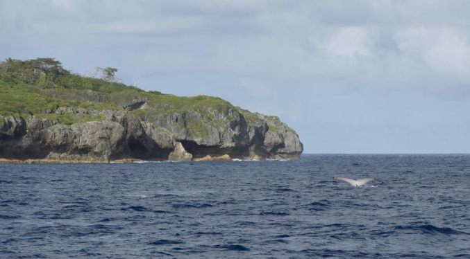 Crowdfunding, el plan de una isla del Pacífico para proteger sus aguas