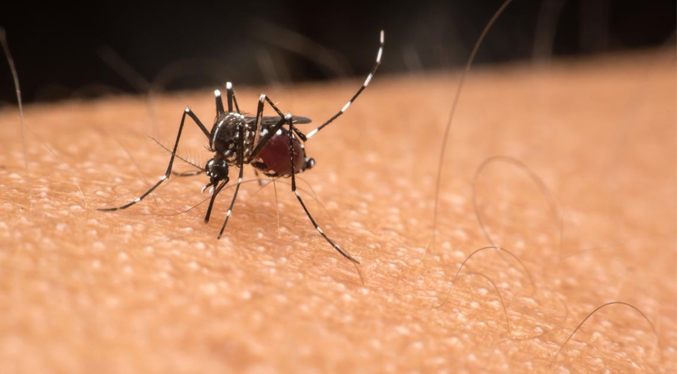 Costa Rica registra 18 mil 194 casos de dengue hasta finales de octubre