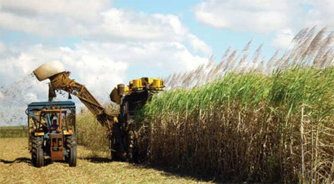 Fesoca denuncia la llegada al país de 20 mil toneladas de azúcar importada sin el pago de aranceles