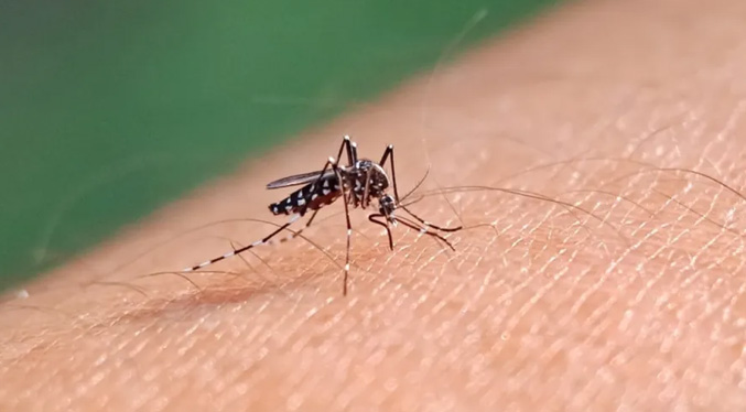 Persistencia de las lluvias incide en aumento de casos de dengue en Venezuela