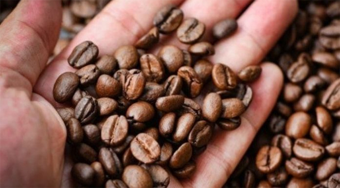 Fedeagro presenta nuevas modalidades de acuerdos para fijar el precio del café