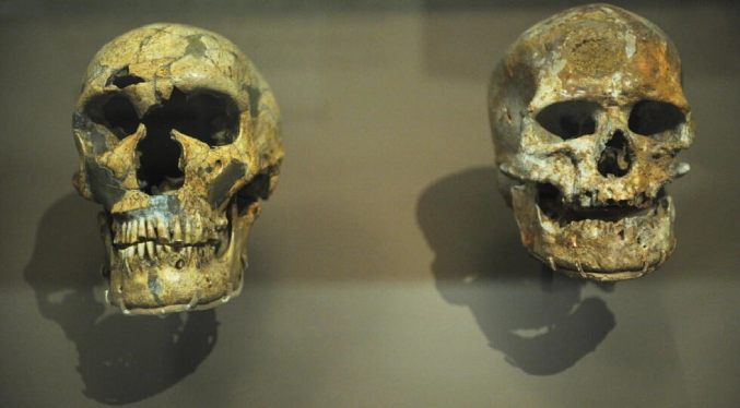 Un hueso de homo sapiens encontrado en una cueva de neandertales