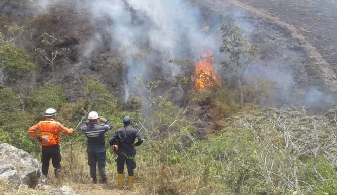 Altas temperaturas en Trujillo generan incendios forestales
