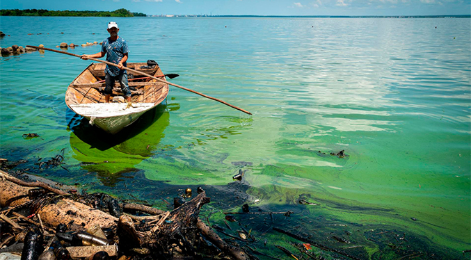 Proyecto Sirena: El programa que busca rescatar el Lago de Maracaibo