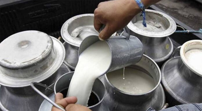 Reportan que la producción láctea en 2023 fue «bastante estable» con respecto a otros rubros