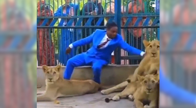 Pastor nigeriano recrea una historia bíblica y se mete en una celda con leones (Video)