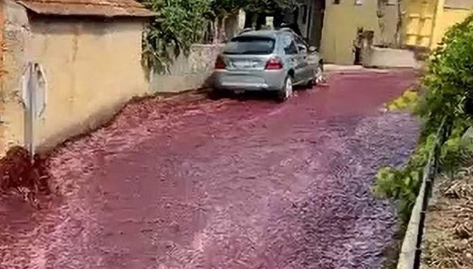Un río de vino tinto inundó las calles de un pueblo de Portugal