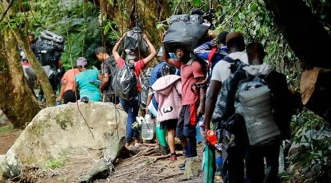Crisis en el Darién: casi 540 mil migrantes cruzaron la selva en 2023