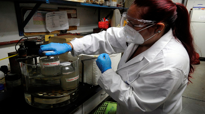 Las mujeres lideran el 61 % de las investigaciones científicas en Venezuela