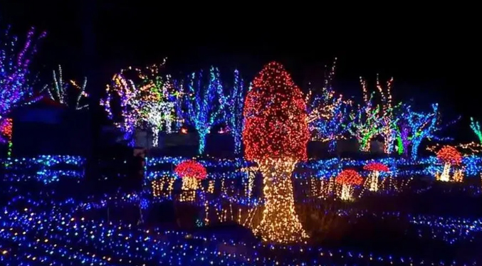 Exhiben luces navideñas en el Gardens Aglow en Maine EEUU