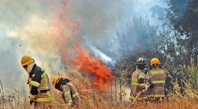 Contabilizan 133 víctimas mortales causada por la cadena de incendios forestales en Chile