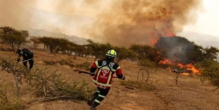 Al menos 800 hectáreas calcinadas y 7 heridos en varios incendios en zona central de Chile