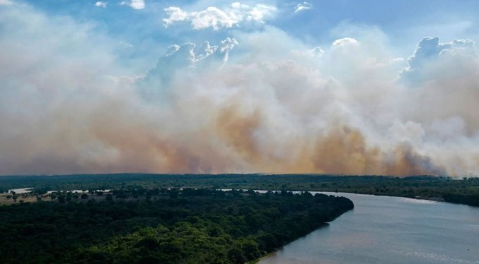 Los incendios forestales en Brasil destruyeron un área del tamaño de Uruguay en 2023