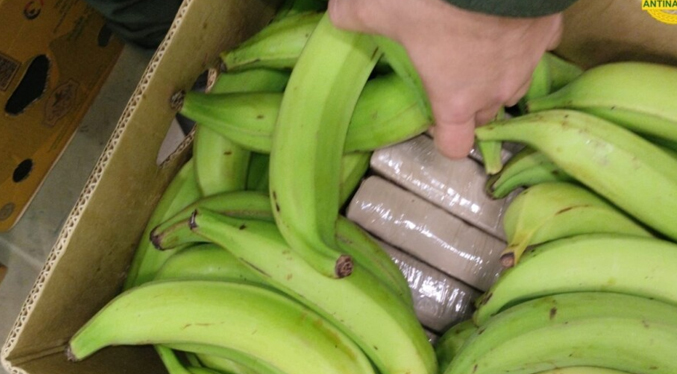 Colombia incauta 2,6 toneladas de cocaína escondida por paramilitares en una carga de plátanos
