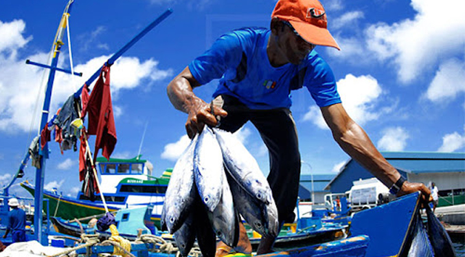 Ministro de Pesca asegura que el consumo per cápita de pescado ronda los 17 kg al año