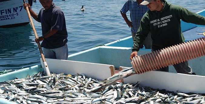 Sector acuícola y pesquero registra un crecimiento de 13 % en el año 2023
