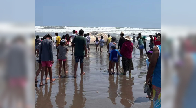Ballena varada en playa de Perú atrae a curiosos, pese a la advertencia de las autoridades