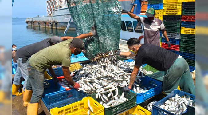 Gobierno Nacional muestra crecimiento del sector pesquero y acuícola en Balance 2023