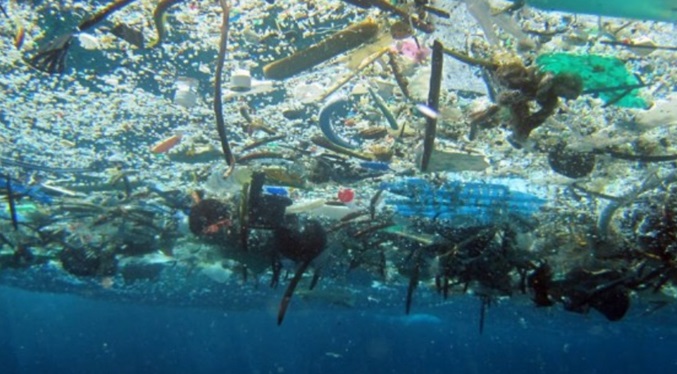 ONU advierte que para 2050 podría haber más plástico que peces en los océanos