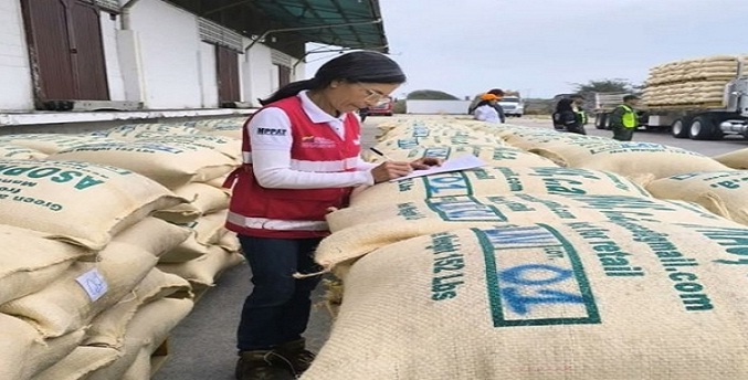 Venezuela exportó 70 toneladas de café verde a Estados Unidos