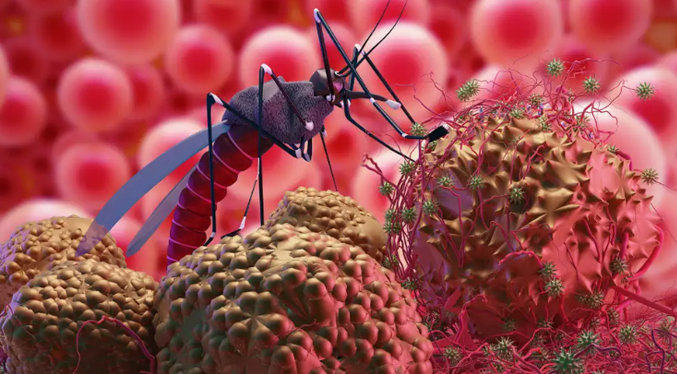 Investigadores descubren una capacidad en células para combatir la malaria