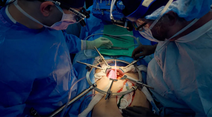 Japón planea realizar el primer trasplante de riñón de cerdo a un feto humano
