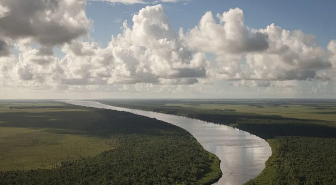 La mitad de la Amazonía podría colapsar para 2050 y perder su capacidad de recuperarse