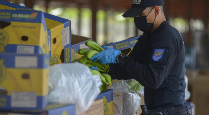Rusia prohíbe la importación de bananas de Ecuador