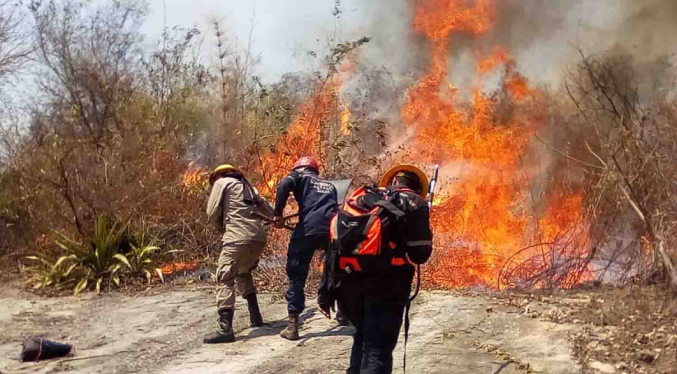 Ecologista pide a población prevenir los incendios forestales