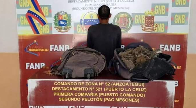 Detienen a sujeto que pretendía traficar con iguanas en Anzoátegui