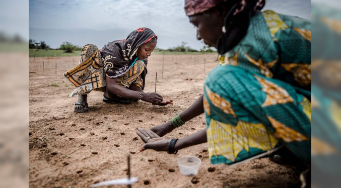 Crisis climática hará empeorar los conflictos especialmente en África, según estudio
