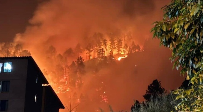 Incendios forestales consumieron al menos 650 hectáreas en el estado Mérida.
