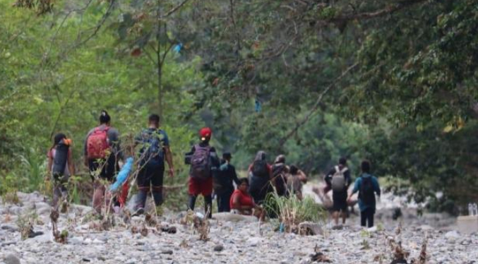Más de 85 mil migrantes irregulares en tránsito han pasado por la selva del Darién en 2024