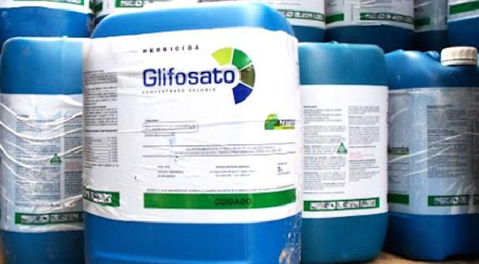 Bayer anuncia que trabaja en un sustituto del herbicida glifosato