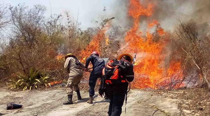 Acciones del ser humano y el cambio climático agravan los incendios forestales en Venezuela