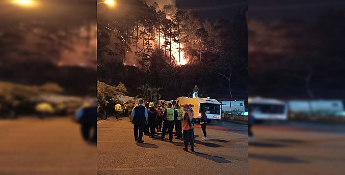 Incendio arrasa con más de 30 hectáreas en Mérida