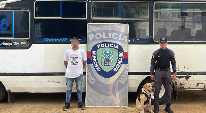 Detienen a chofer de transporte público por atropellar un perro en Juana de Ávila