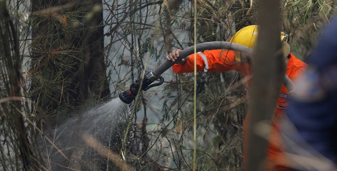 Más de 40 incendios forestales se registran en el país en menos de una semana