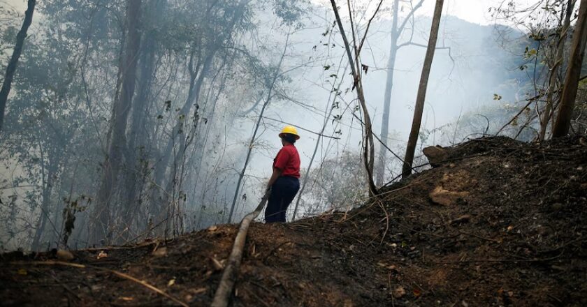 El Niño y fallas en la prevención: una combinación que propicia cifras récord de incendios en Venezuela